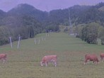 Archiv Foto Webcam Blick auf den Draxlhang 09:00