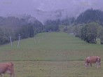 Archiv Foto Webcam Blick auf den Draxlhang 15:00