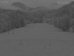 Archiv Foto Webcam Blick auf den Draxlhang 05:00