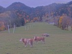 Archived image Webcam View on Draxlhang ski run 15:00