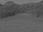 Archiv Foto Webcam Blick auf den Draxlhang 05:00