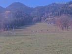 Archiv Foto Webcam Blick auf den Draxlhang 11:00