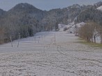 Archiv Foto Webcam Blick auf den Draxlhang 11:00