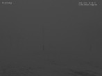 Archiv Foto Webcam Blick auf den Draxlhang 01:00
