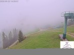 Archived image Webcam Stiealm alp 13:00