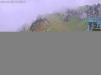 Archiv Foto Webcam Stiealm unterhalb des Latschenkopfes 11:00