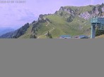 Archived image Webcam Stiealm alp 11:00