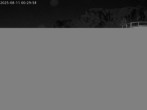 Archiv Foto Webcam Stiealm unterhalb des Latschenkopfes 23:00
