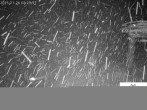 Archiv Foto Webcam Stiealm unterhalb des Latschenkopfes 01:00