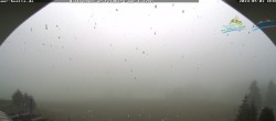 Archived image Webcam Todtnau mountain hut, Black Forest 11:00