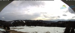 Archiv Foto Webcam Todtnauer Hütte, Schwarzwald 15:00