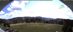 Archiv Foto Webcam Todtnauer Hütte, Schwarzwald 13:00