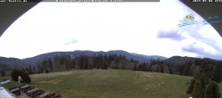 Archiv Foto Webcam Todtnauer Hütte, Schwarzwald 11:00