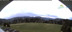 Archiv Foto Webcam Todtnauer Hütte, Schwarzwald 13:00