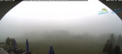 Archived image Webcam Todtnau mountain hut, Black Forest 11:00