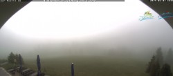 Archived image Webcam Todtnau mountain hut, Black Forest 11:00