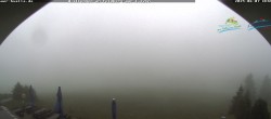 Archiv Foto Webcam Todtnauer Hütte, Schwarzwald 06:00