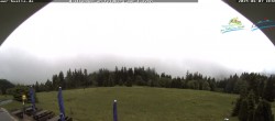 Archiv Foto Webcam Todtnauer Hütte, Schwarzwald 13:00