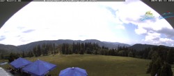 Archiv Foto Webcam Todtnauer Hütte, Schwarzwald 11:00