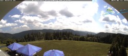 Archiv Foto Webcam Todtnauer Hütte, Schwarzwald 13:00