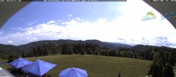 Archiv Foto Webcam Todtnauer Hütte, Schwarzwald 13:00