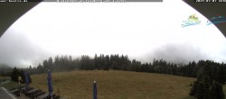 Archiv Foto Webcam Todtnauer Hütte, Schwarzwald 11:00