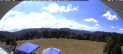 Archiv Foto Webcam Todtnauer Hütte, Schwarzwald 11:00