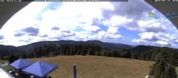 Archiv Foto Webcam Todtnauer Hütte, Schwarzwald 09:00
