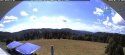 Archiv Foto Webcam Todtnauer Hütte, Schwarzwald 11:00