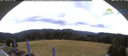 Archiv Foto Webcam Todtnauer Hütte, Schwarzwald 11:00