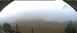 Archived image Webcam Todtnau mountain hut, Black Forest 05:00