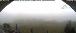 Archiv Foto Webcam Todtnauer Hütte, Schwarzwald 09:00