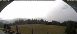 Archiv Foto Webcam Todtnauer Hütte, Schwarzwald 11:00