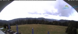 Archiv Foto Webcam Todtnauer Hütte, Schwarzwald 11:00