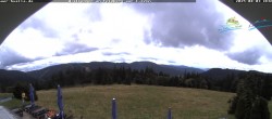 Archiv Foto Webcam Todtnauer Hütte, Schwarzwald 13:00