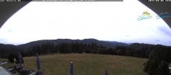 Archiv Foto Webcam Todtnauer Hütte, Schwarzwald 11:00