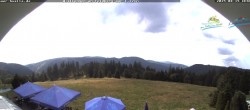 Archived image Webcam Todtnau mountain hut, Black Forest 11:00