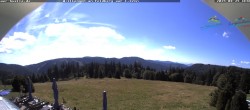 Archiv Foto Webcam Todtnauer Hütte, Schwarzwald 11:00