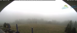 Archiv Foto Webcam Todtnauer Hütte, Schwarzwald 09:00
