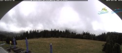 Archiv Foto Webcam Todtnauer Hütte, Schwarzwald 11:00