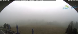 Archiv Foto Webcam Todtnauer Hütte, Schwarzwald 11:00