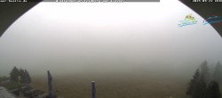 Archiv Foto Webcam Todtnauer Hütte, Schwarzwald 13:00
