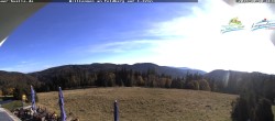 Archiv Foto Webcam Todtnauer Hütte, Schwarzwald 15:00