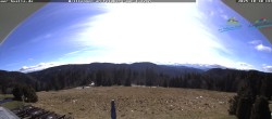 Archiv Foto Webcam Todtnauer Hütte, Schwarzwald 11:00