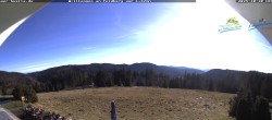 Archiv Foto Webcam Todtnauer Hütte, Schwarzwald 13:00
