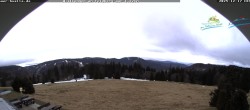 Archiv Foto Webcam Todtnauer Hütte, Schwarzwald 11:00
