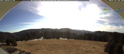 Archiv Foto Webcam Todtnauer Hütte, Schwarzwald 11:00