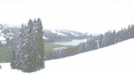 Archived image Webcam Alpsee chair lift (Alpsee Coaster) 11:00