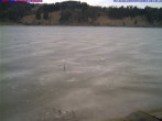 Archiv Foto Webcam Großer Alpsee bei Immenstadt 09:00