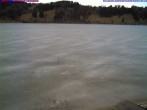 Archiv Foto Webcam Großer Alpsee bei Immenstadt 11:00